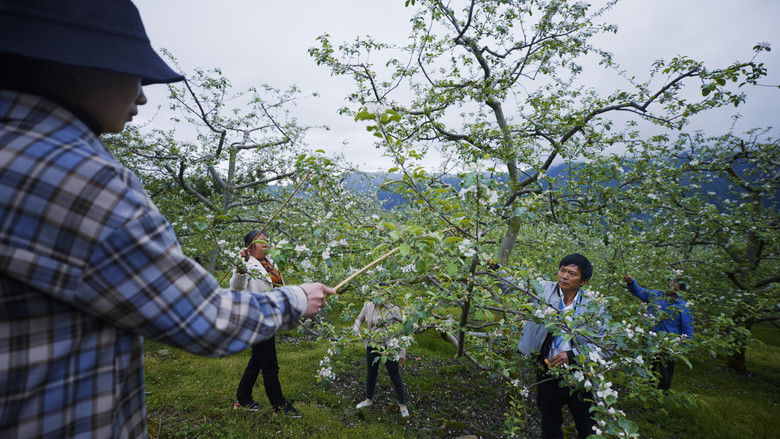 кадр из фильма Une terre sans abeilles?