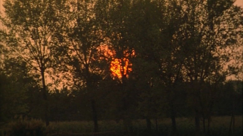 кадр из фильма Il pianeta azzurro