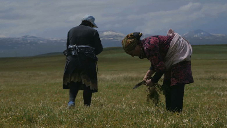 кадр из фильма Կանանց Գյուղը