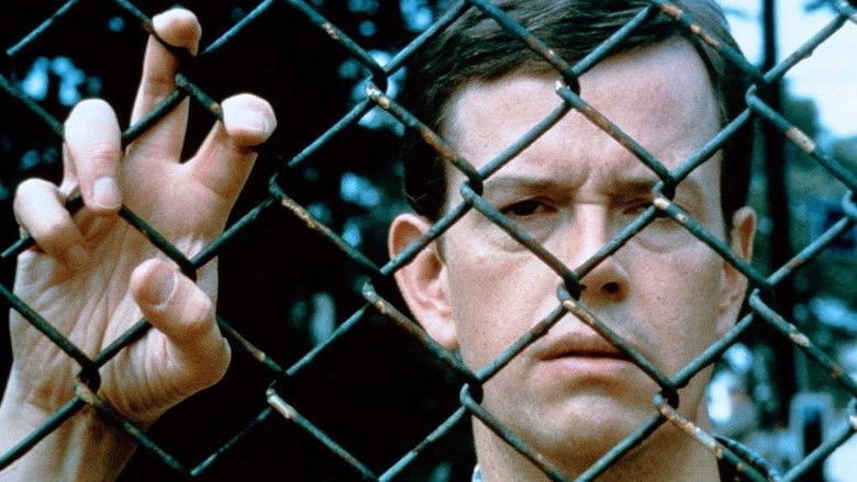 кадр из фильма Счастье