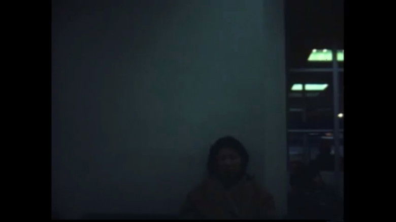 кадр из фильма 尺景