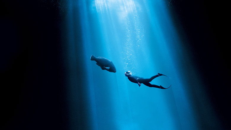 кадр из фильма Друг в океане