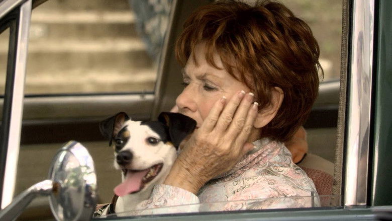 кадр из фильма Предчувствие кошмара