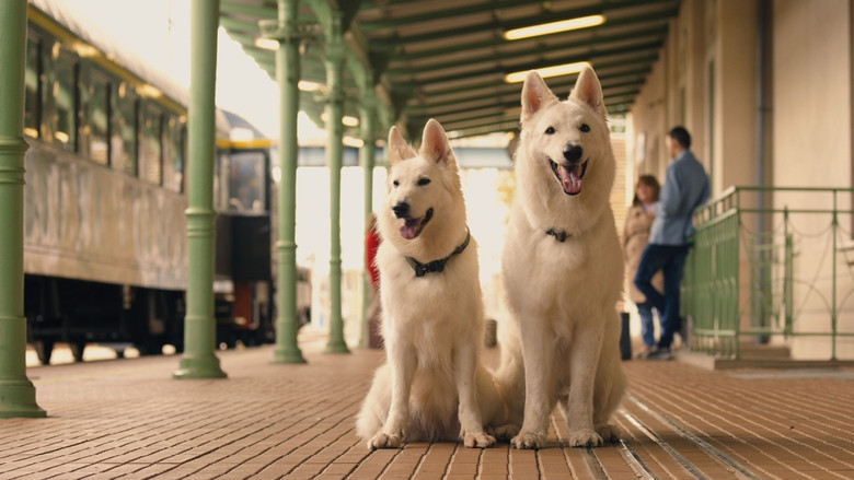 кадр из фильма O psie, który jeździł koleją 2