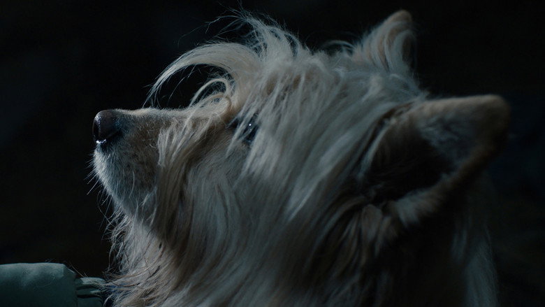 кадр из фильма Последний удар