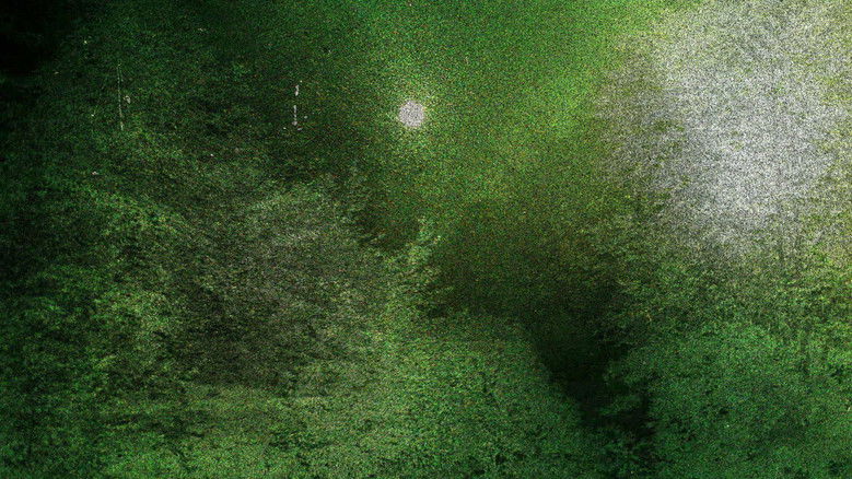 кадр из фильма Vintage Print