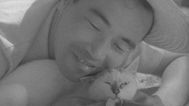 Кошка, Сёдзо и две женщины