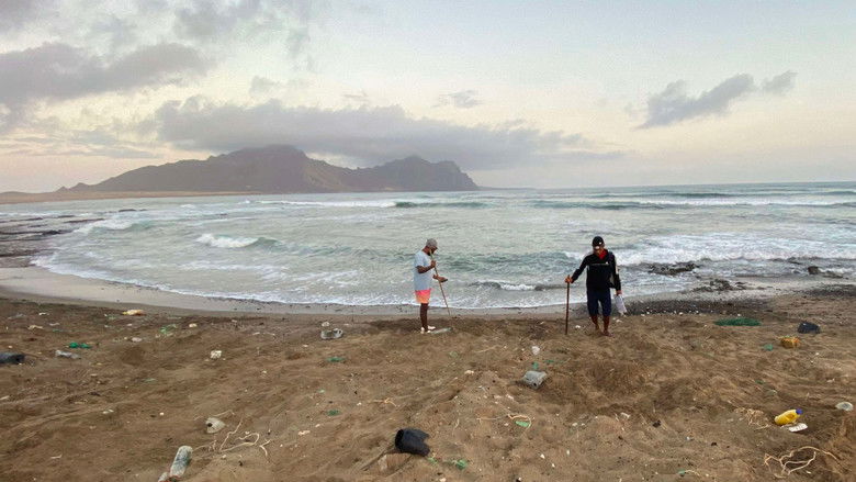 кадр из фильма The Coriolis Effect