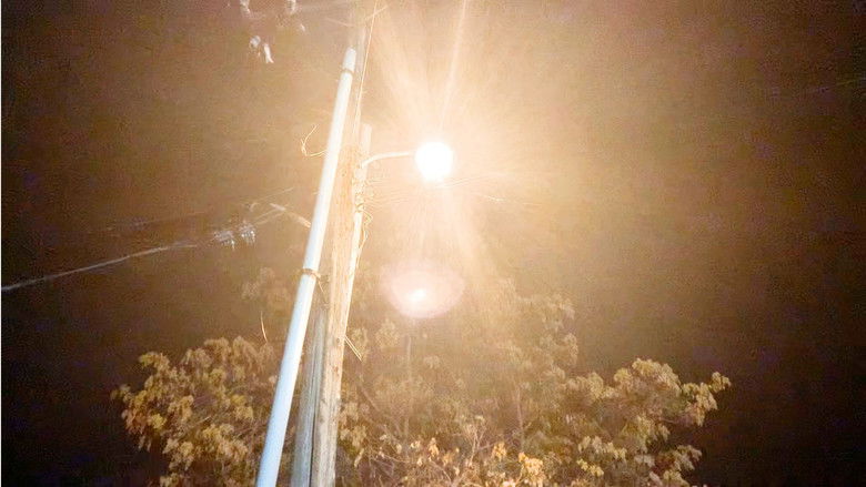 кадр из фильма Those Moments