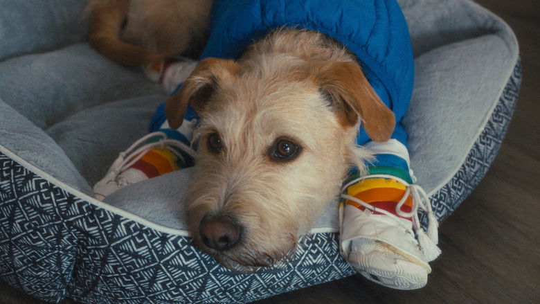 кадр из фильма Мерф