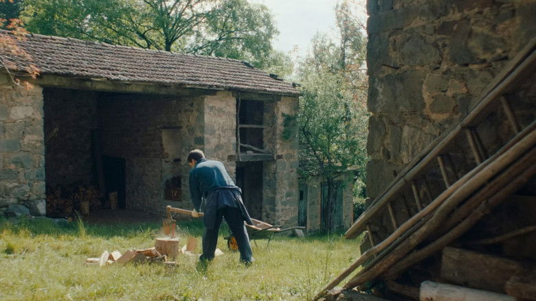 кадр из фильма Il vento soffia dove vuole