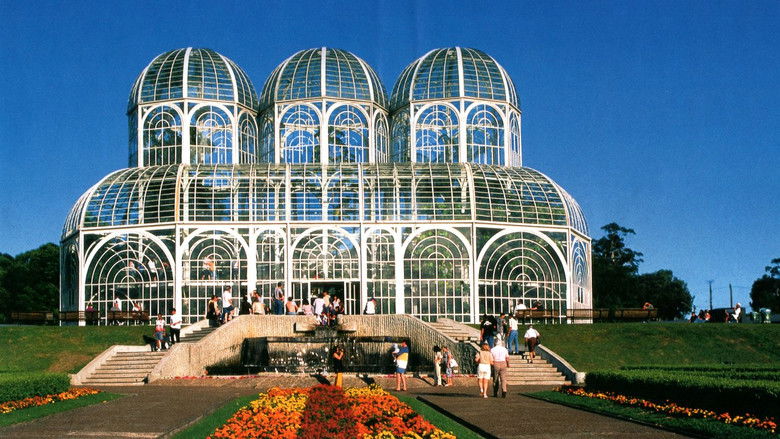 кадр из фильма Curitiba: A Capital Ecológica