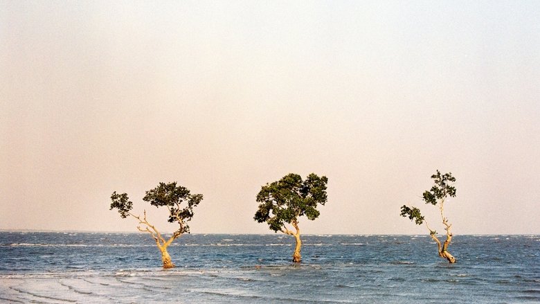 кадр из фильма Os Ossos da Saudade