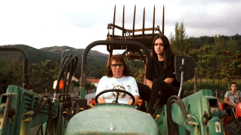 кадр из фильма A Savana e a Montanha