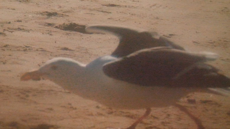 кадр из фильма No seré la vida de mi recuerdo