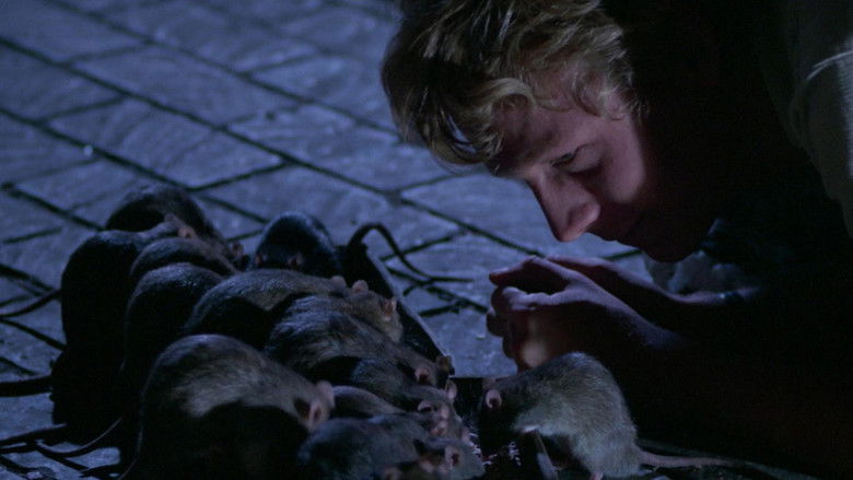 кадр из фильма Уиллард