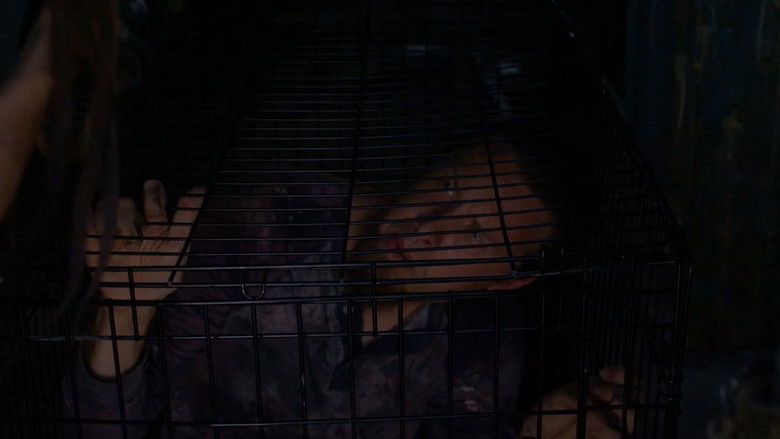 кадр из фильма Amazons of the Apocalypse