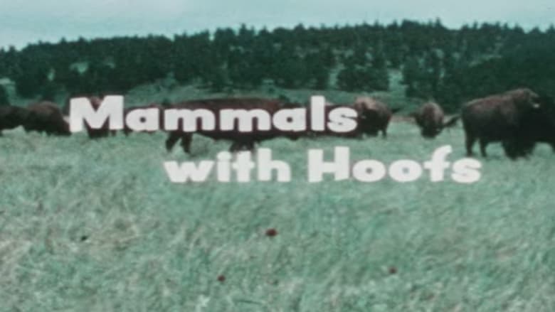 кадр из фильма Mammals With Hoofs