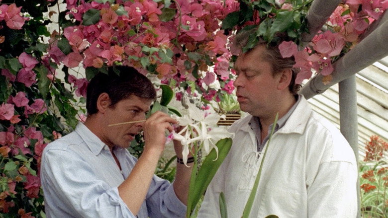 кадр из фильма Pigen fra Egborg