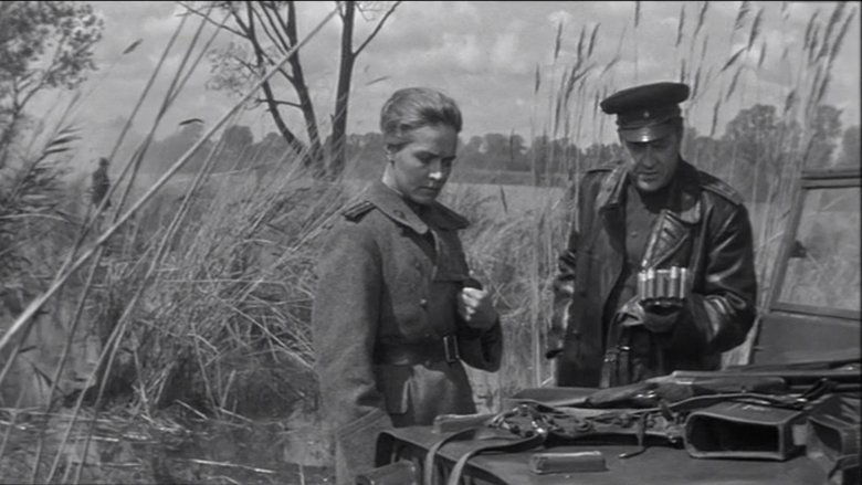 Весна на Одере