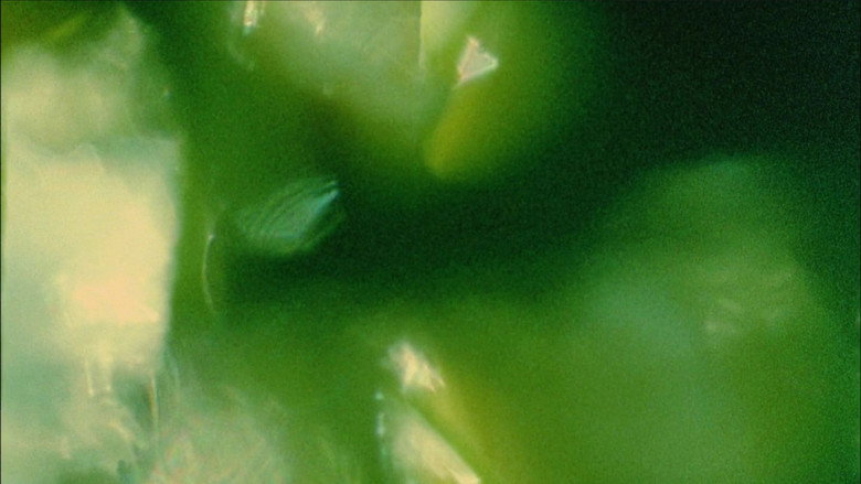 кадр из фильма The Cat of the Worm's Green Realm