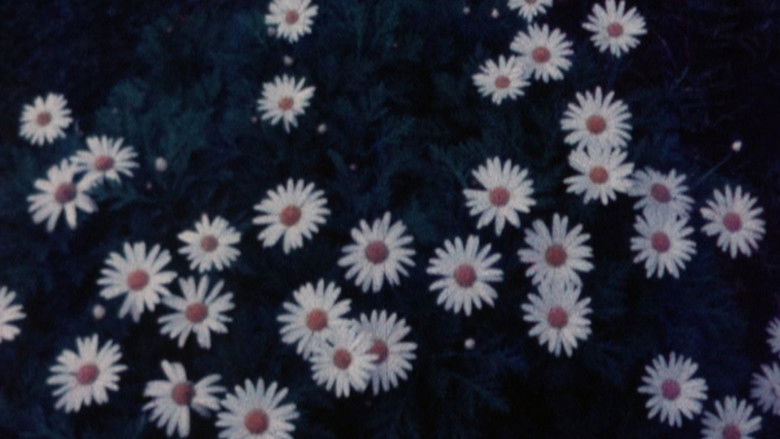 кадр из фильма Ofrenda