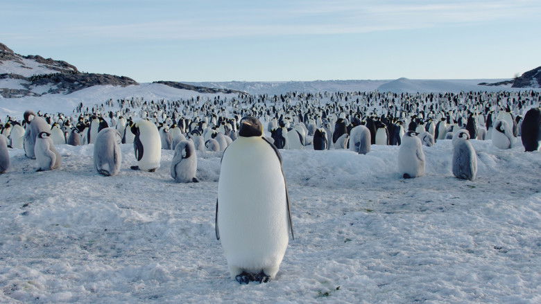 кадр из фильма Антарктика. Живущие на грани