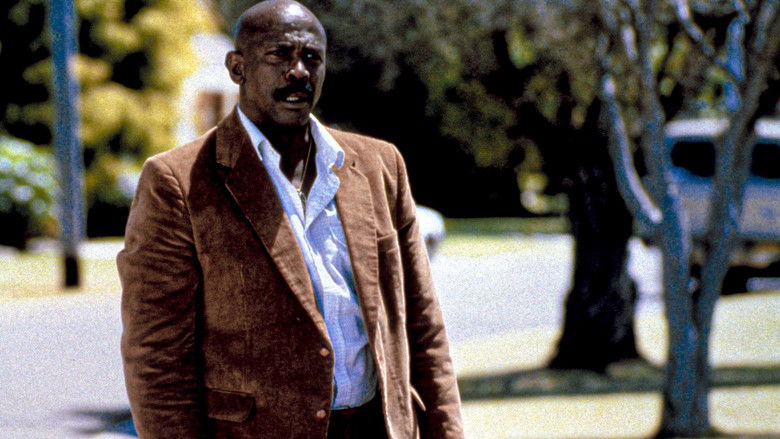 кадр из фильма Каратель