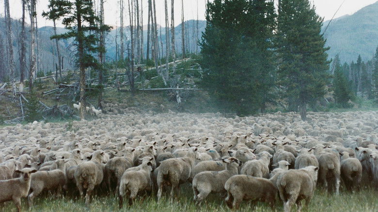 кадр из фильма Sweetgrass