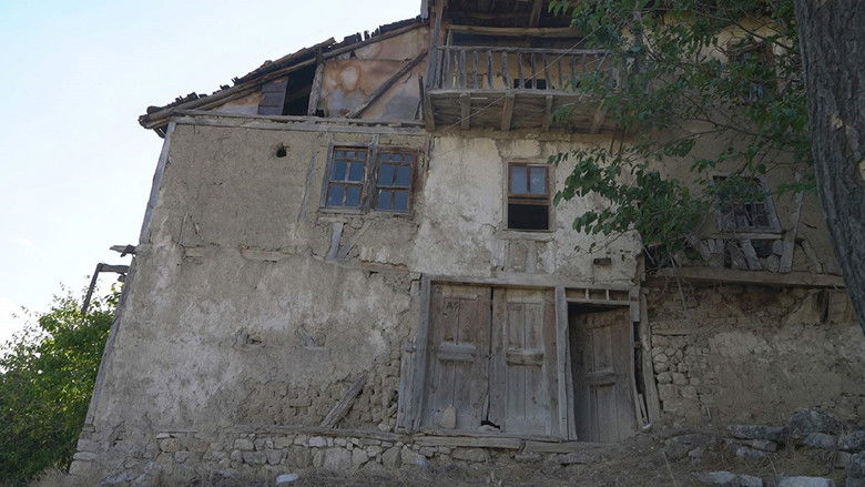 кадр из фильма Cin Tepesi