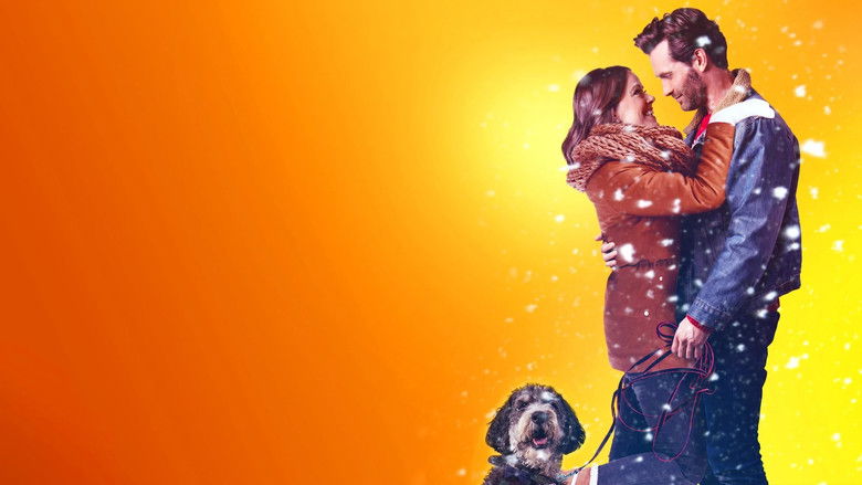 кадр из фильма A Furry Little Christmas