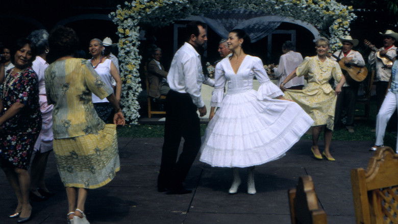 кадр из фильма Huapango