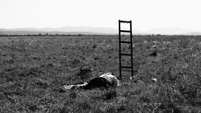 кадр из фильма Doina