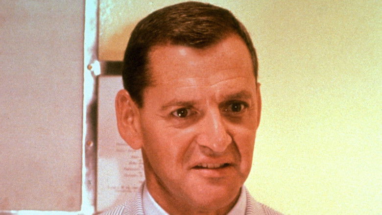 кадр из фильма Наш человек в Марракеше