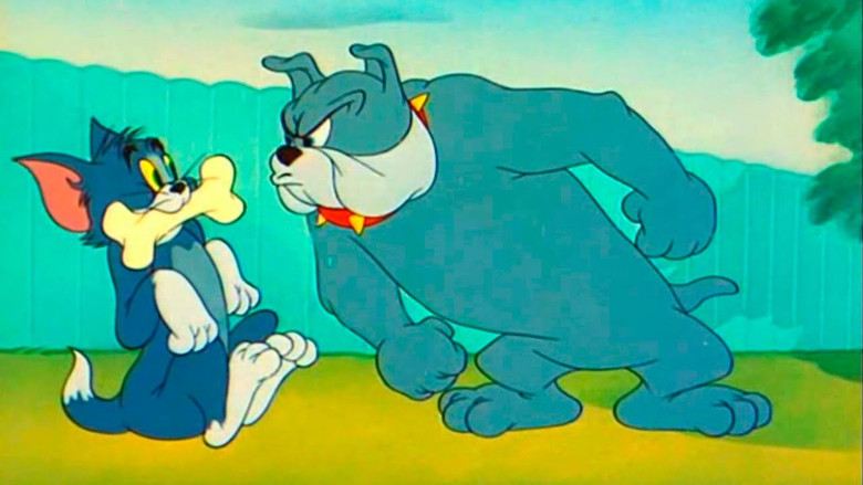 Обманутый кот