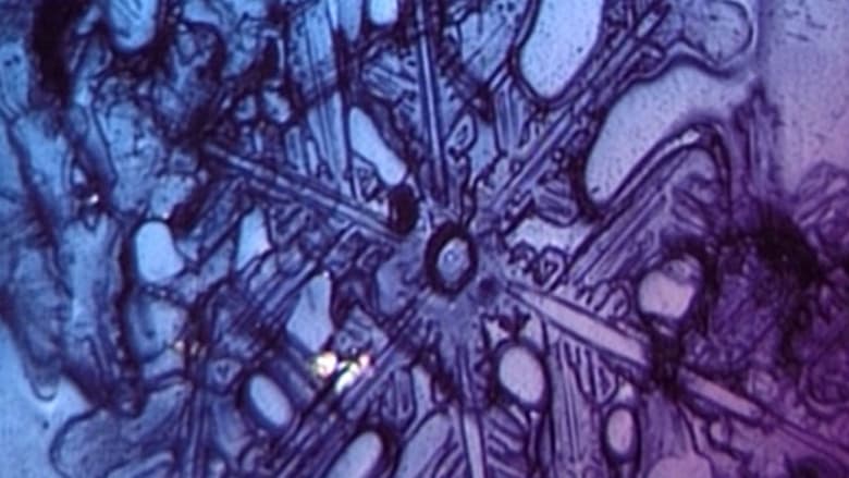 кадр из фильма Neil Peart: A Work in Progress