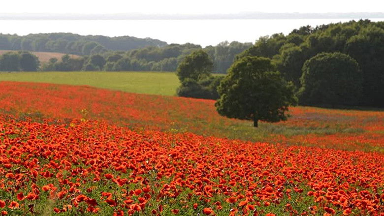 кадр из фильма Ostseeparadies Rügen