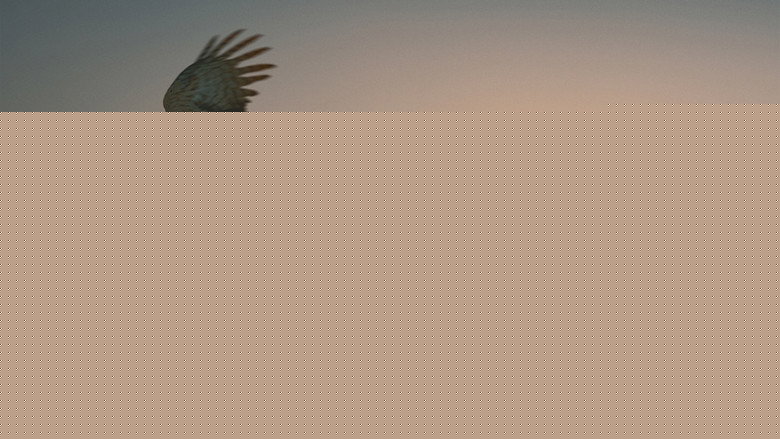 кадр из фильма Я — значит Ястреб