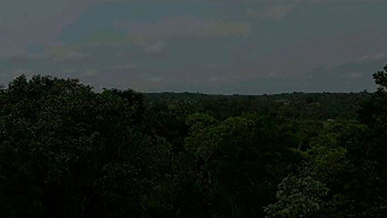 кадр из фильма Táájdeeú túráácágí