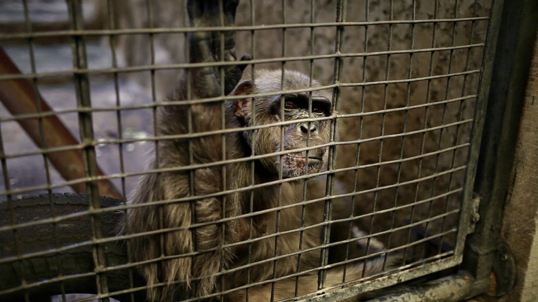 кадр из фильма Planet ohne Affen