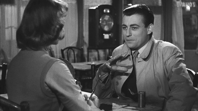 Маленький зуав