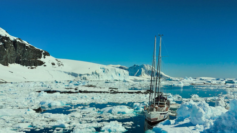 кадр из фильма Antártida