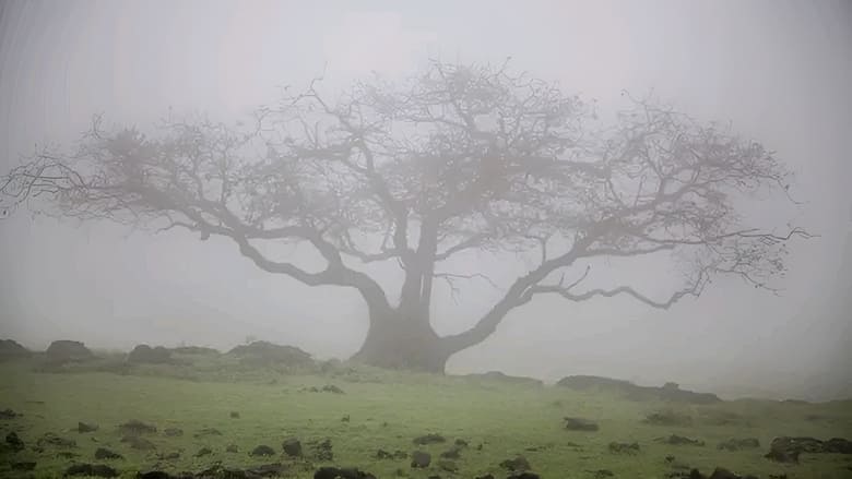 кадр из фильма Mani Petha Brath Nest