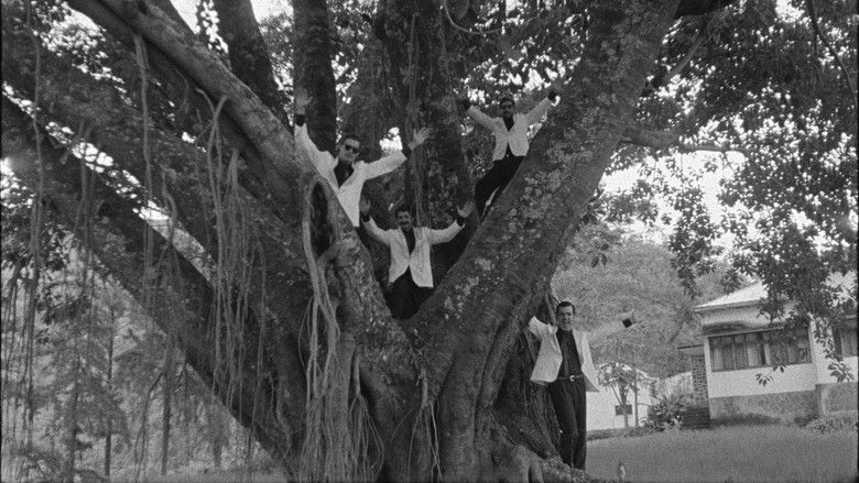 кадр из фильма Табу