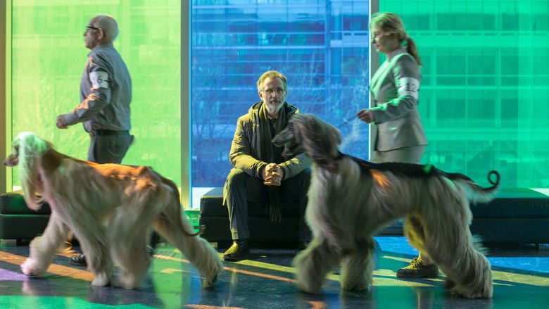 кадр из фильма La Nouvelle Vie de Paul Sneijder