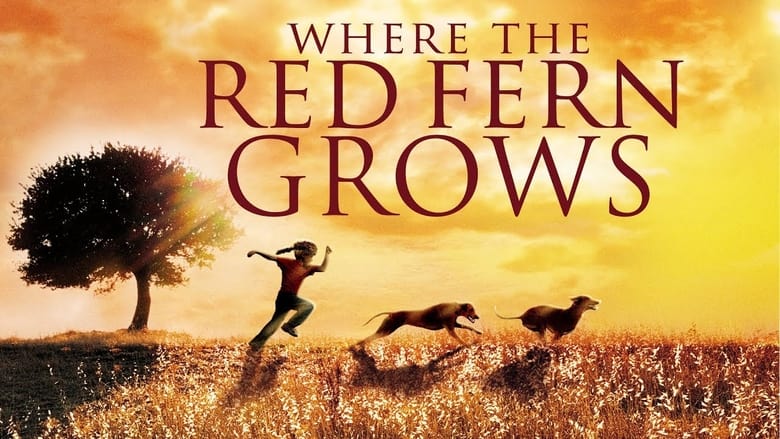 кадр из фильма Where the Red Fern Grows