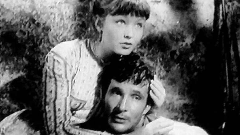 кадр из фильма Musoduro