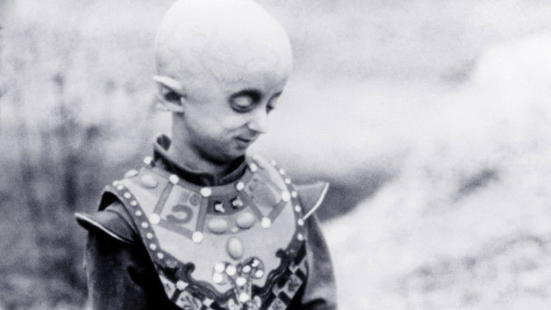 кадр из фильма The Aurora Encounter