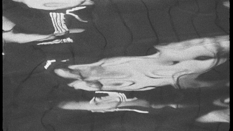 кадр из фильма Tvrdost vody