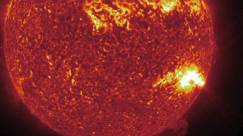 кадр из фильма The Dark Side of The Sun